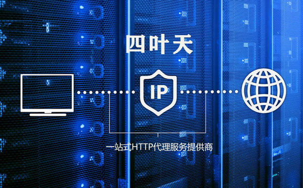 【兴化代理IP】代理IP的主要用途和使用注意事项